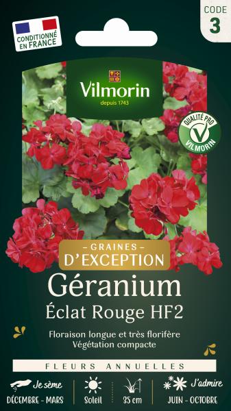 Fleurs - Géranium Eclat Rouge HF2 - Graines d'Exception - face recto